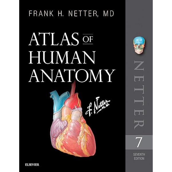 Netter Atlas of Human Anatomy: A Systems Approach - E-Book (Netter